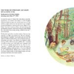 Katalog Zeneva FIN-12